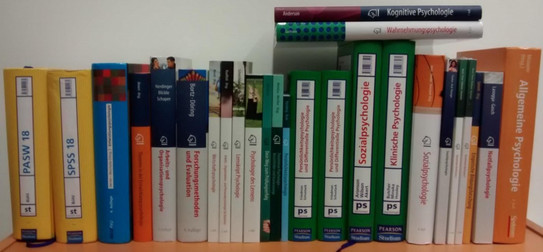 Büchervorrat des Fachschaftrates Eine reihe von Büchern wie z. B. Sozialpsychologie