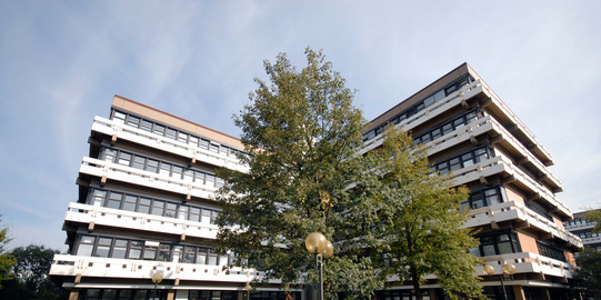 The picture shows the EF 50 building in the summer