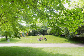 Studierende auf der Wiese mit den Spektralringen im Hintergrund im Sommer